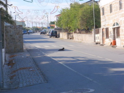 Miradouro.